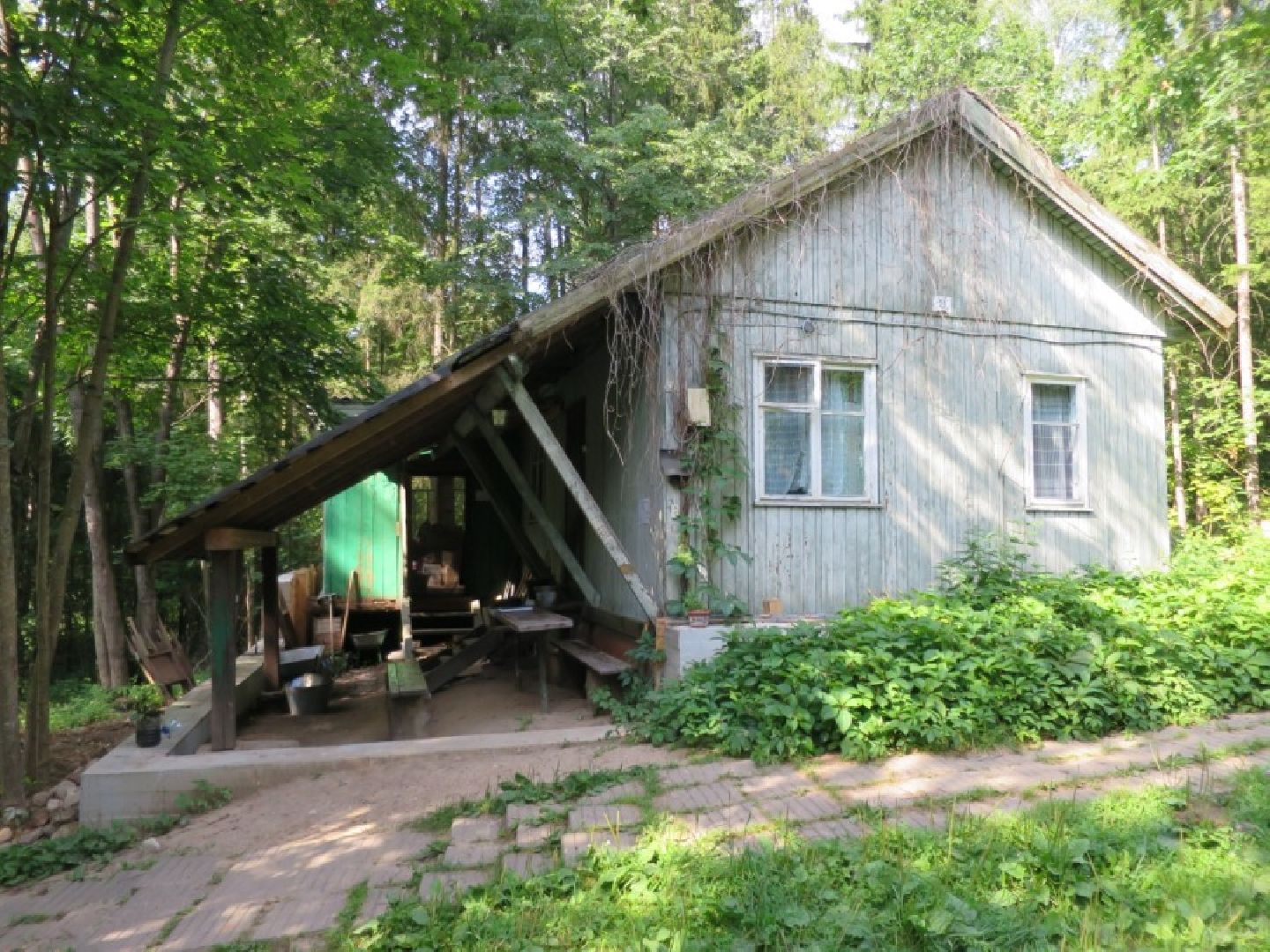 Звенигород, музей, Манеж, уникальная природа Звенигорода, интерактивная лекция