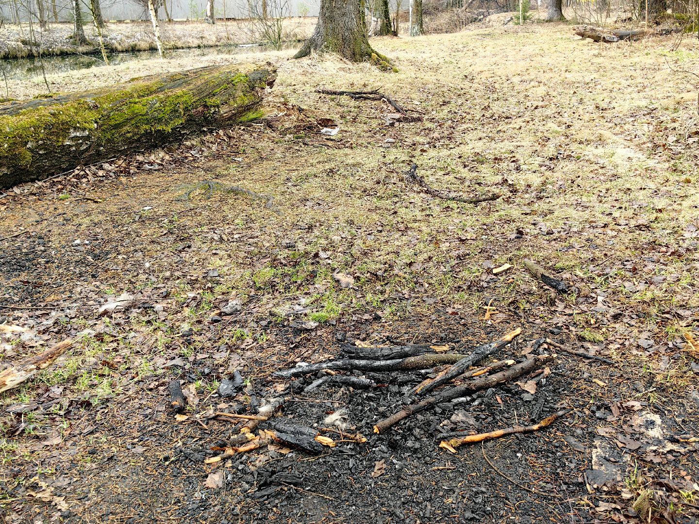 пожар, сезон, лес, служба, служба 112,