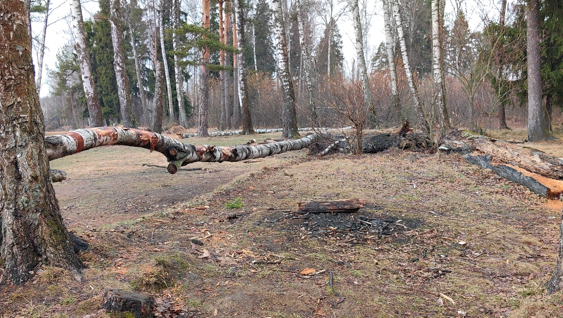 пожар, сезон, лес, служба, служба 112,