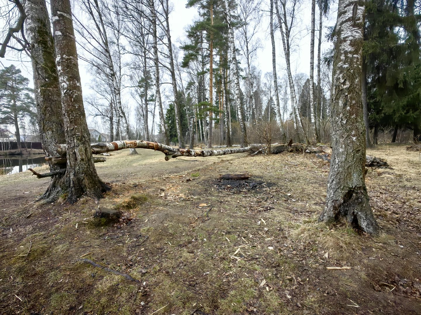 пожар, сезон, лес, служба, служба 112,