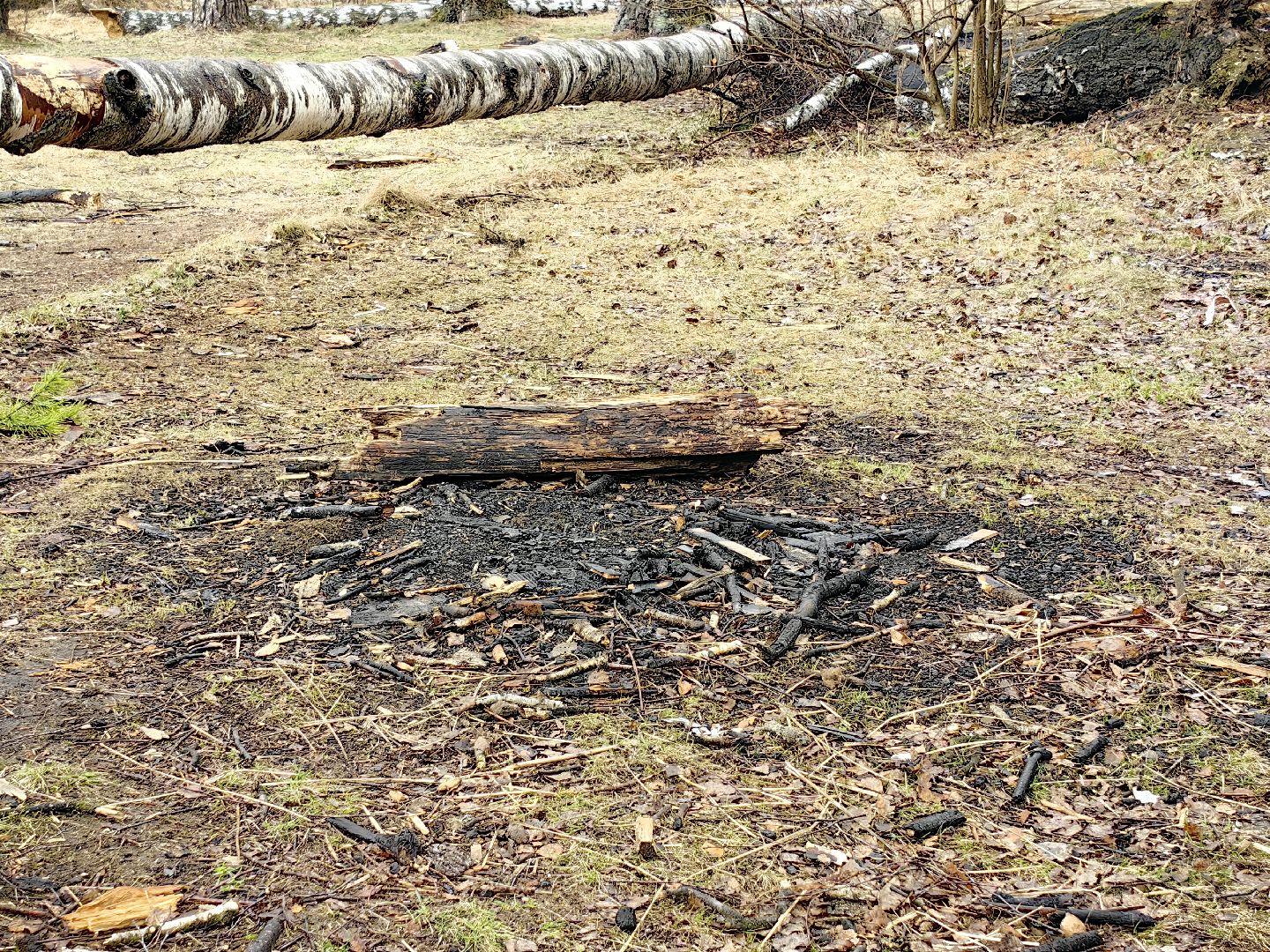 пожар, сезон, лес, служба, служба 112,