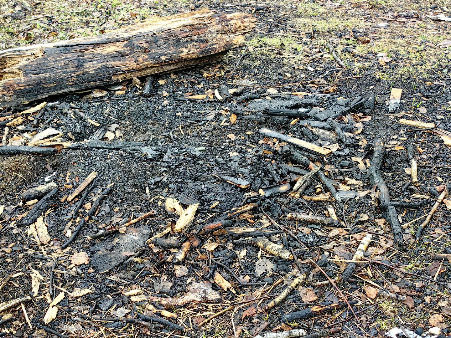 пожар, сезон, лес, служба, служба 112,