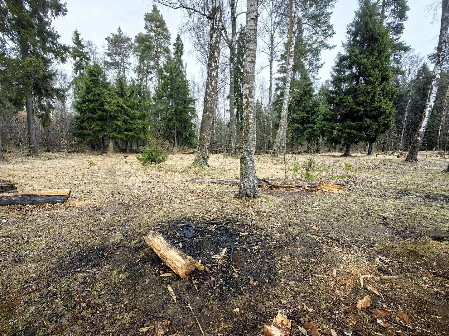 пожар, сезон, лес, служба, служба 112,