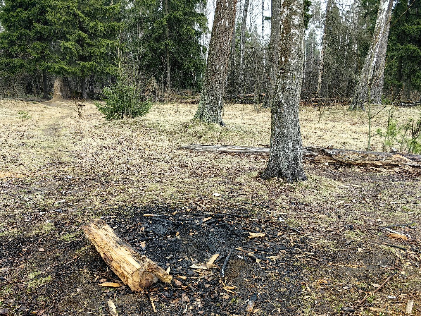 пожар, сезон, лес, служба, служба 112,