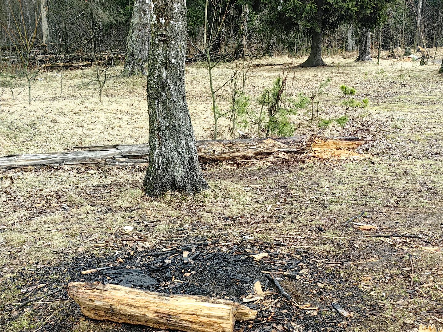 пожар, сезон, лес, служба, служба 112,