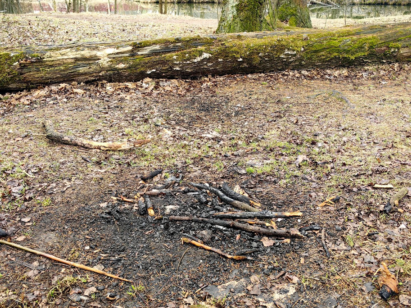 пожар, сезон, лес, служба, служба 112,