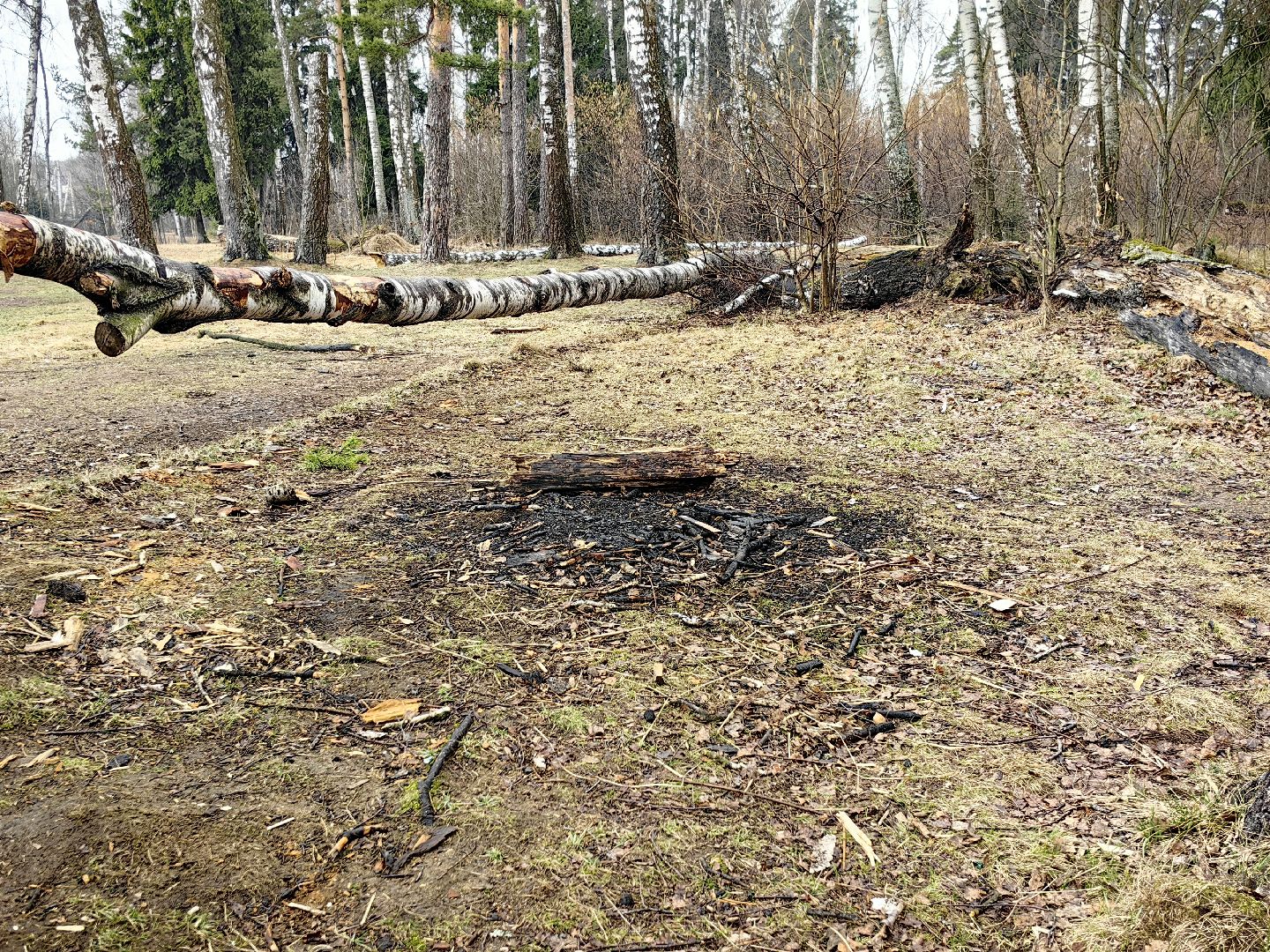 пожар, сезон, лес, служба, служба 112,