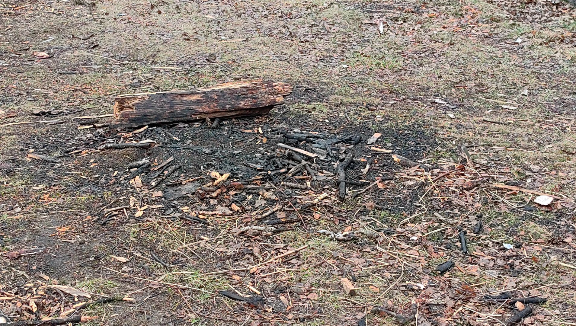 пожар, сезон, лес, служба, служба 112,