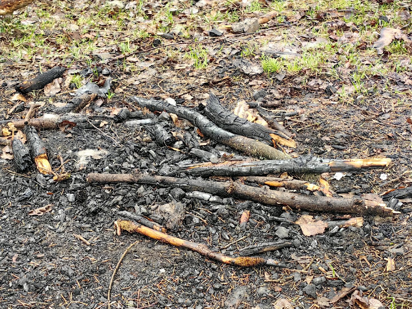 пожар, сезон, лес, служба, служба 112,