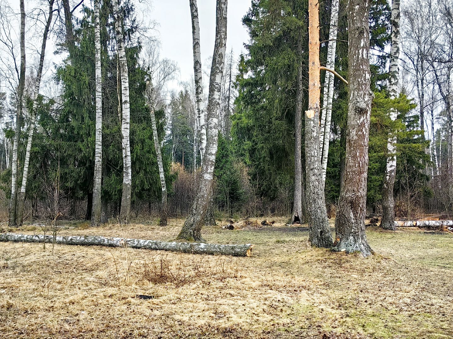 пожар, сезон, лес, служба, служба 112,