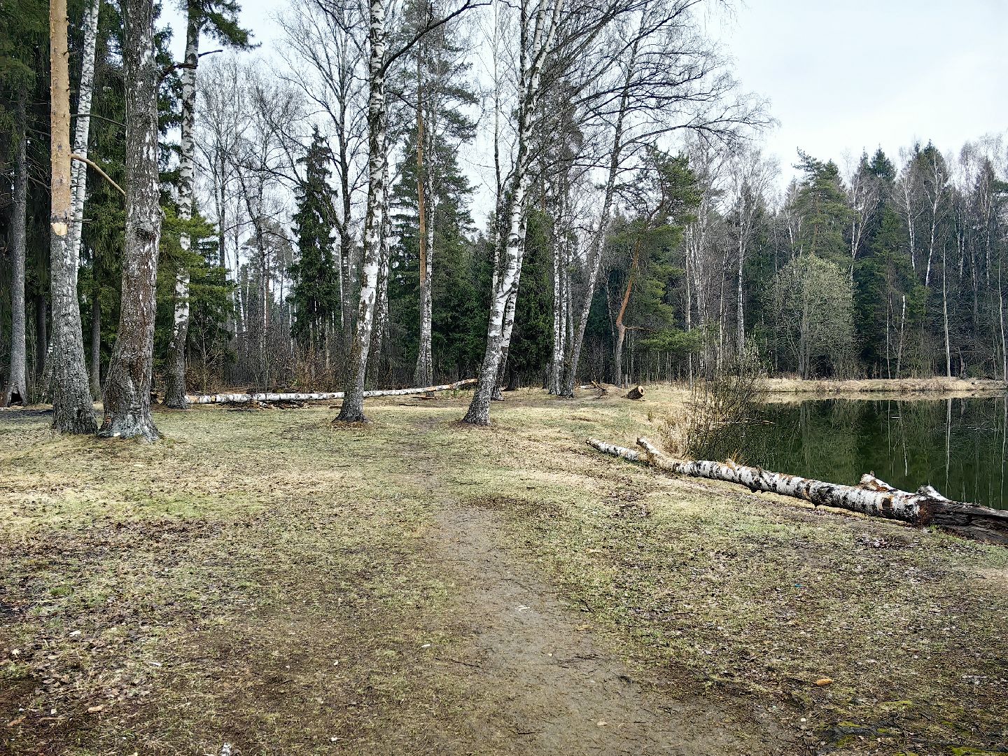 пожар, сезон, лес, служба, служба 112,