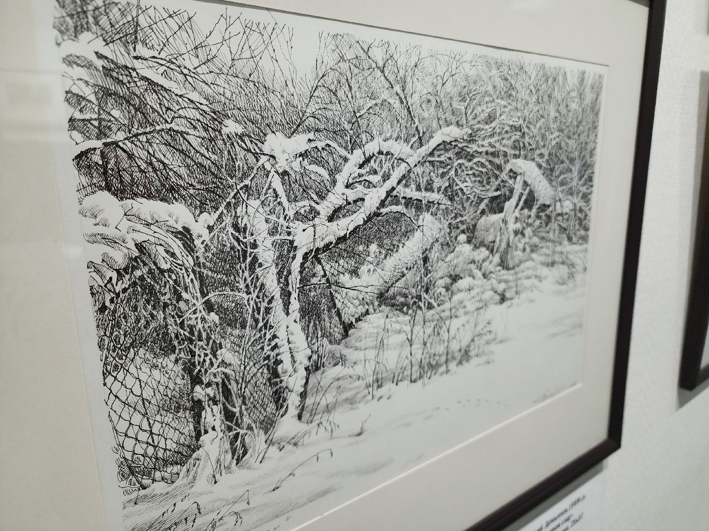 выставка, орехово зуево,