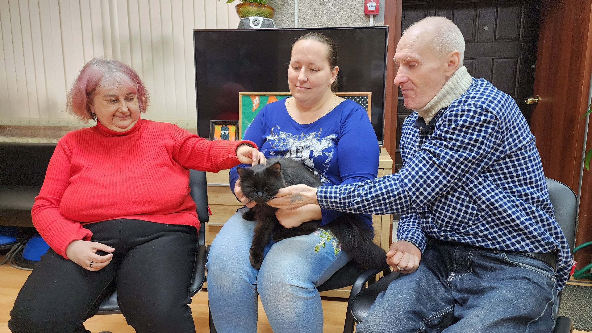 кашира, активное долголетие, инвалиды, пожилые люди, кот, кототерапия, животные,