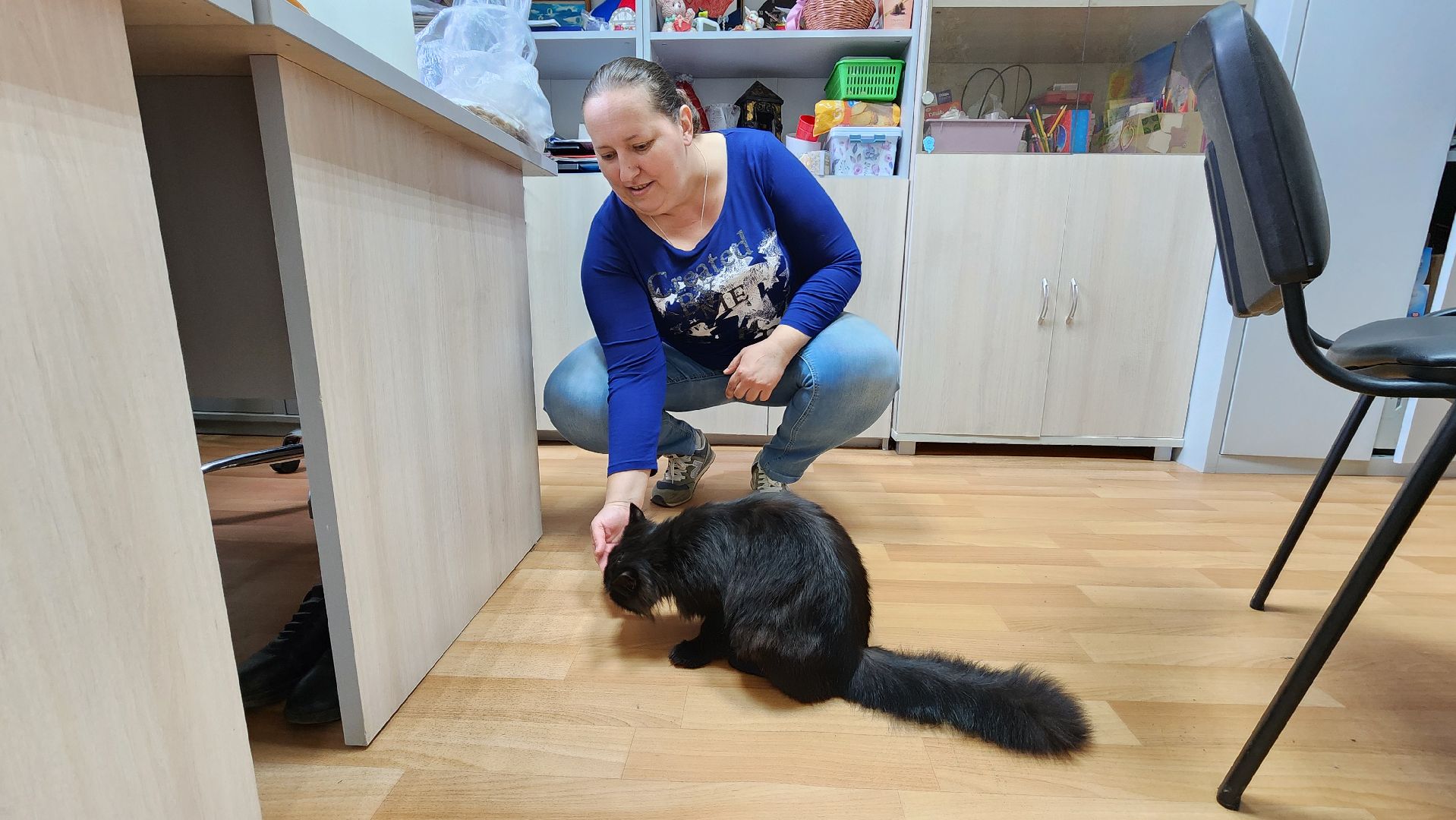 кашира, активное долголетие, инвалиды, пожилые люди, кот, кототерапия, животные,