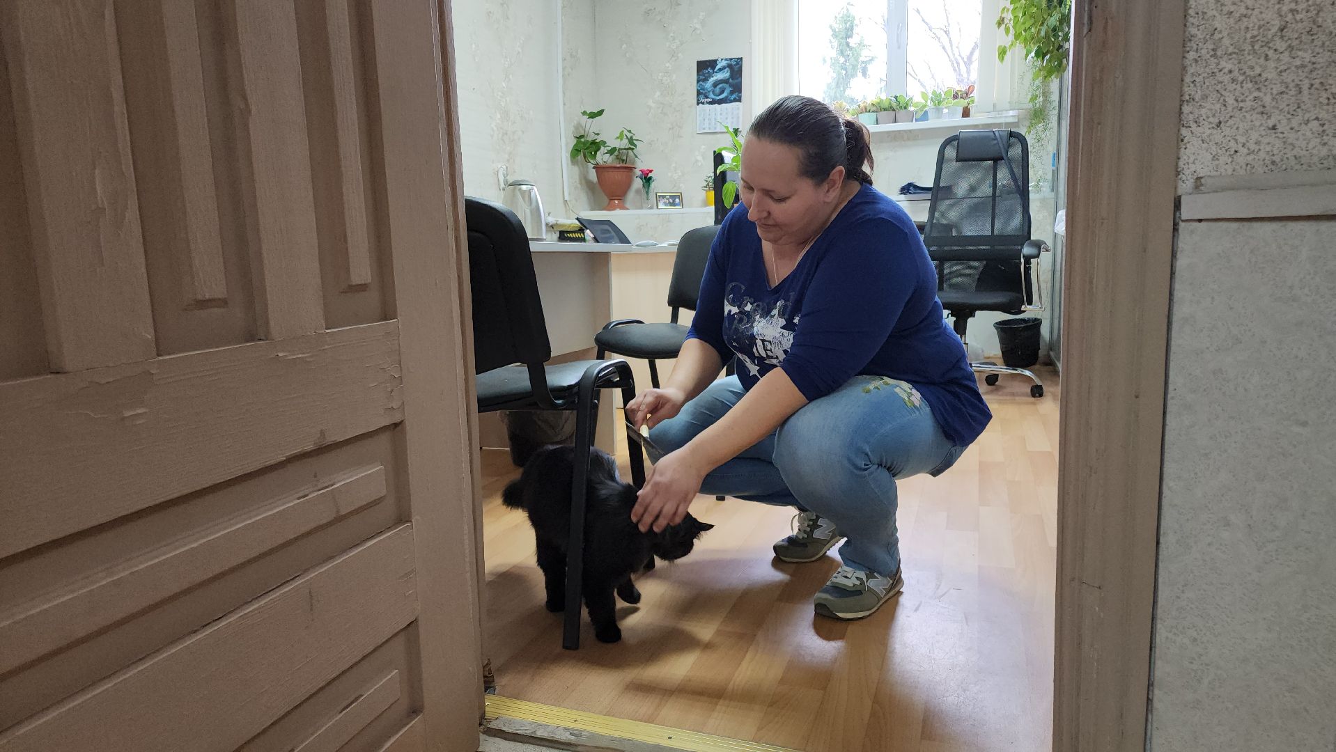 кашира, активное долголетие, инвалиды, пожилые люди, кот, кототерапия, животные,