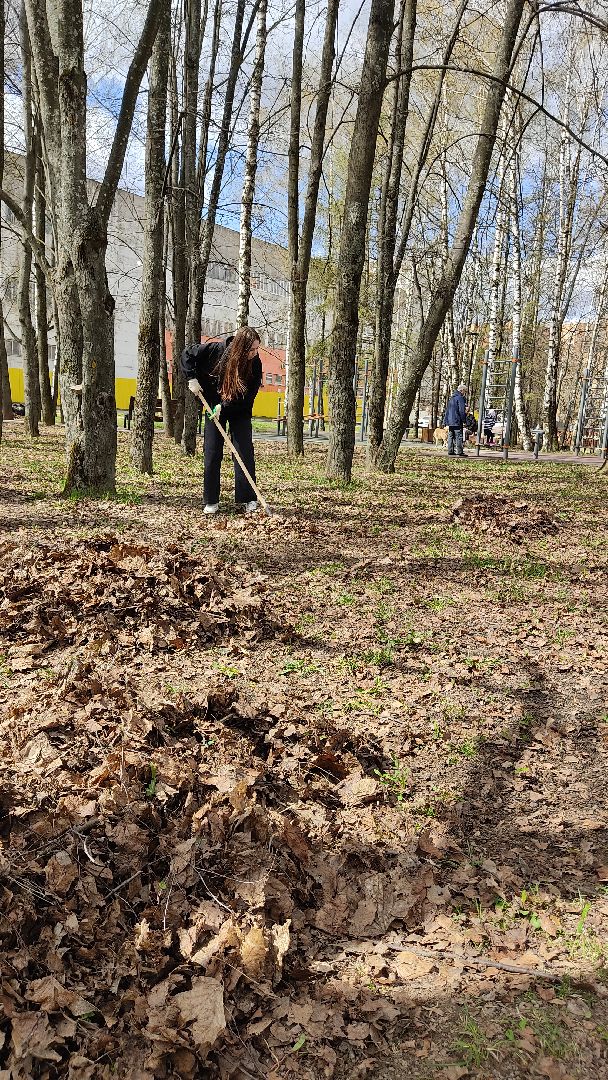 Лобня, благоустройство, суббоьник