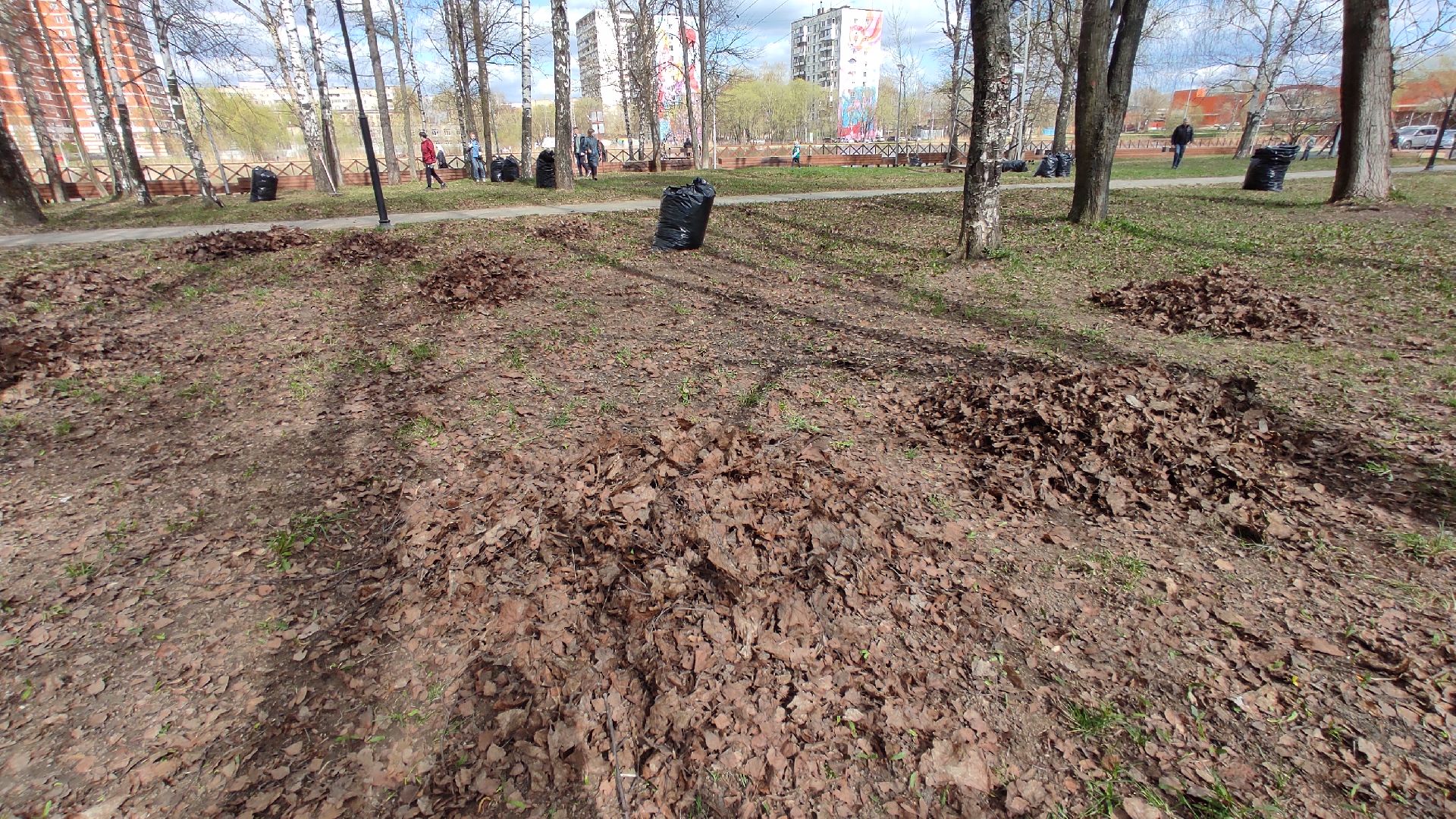 Лобня, благоустройство, суббоьник