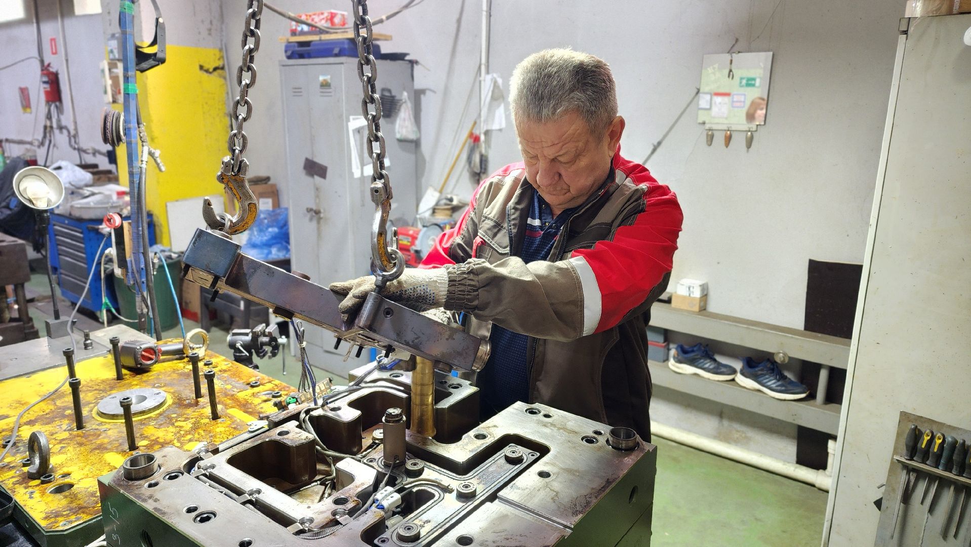 экономика, бизнес, заводы, Лосино-Петровский, посёлок биокомбината, производство, земля за один рубль,