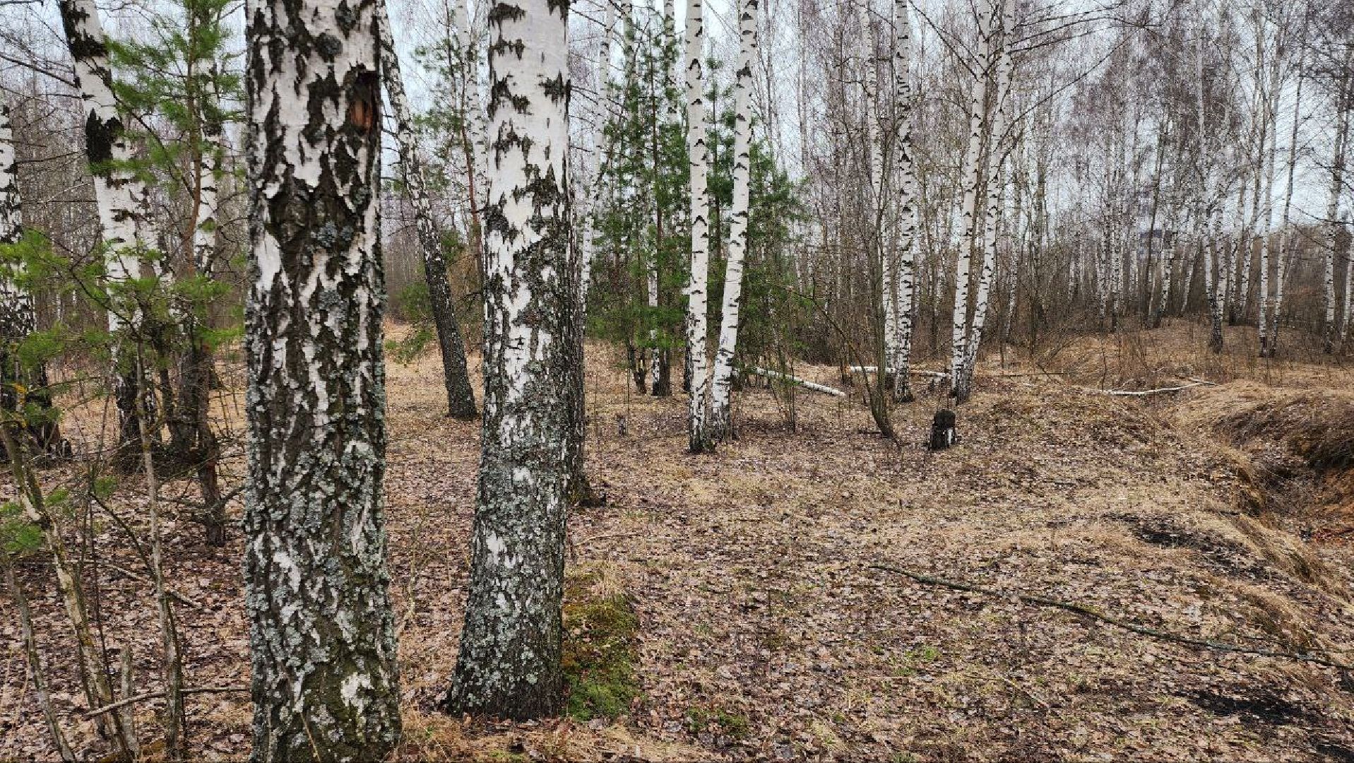луховицы, вакцинация от бешенства, вакцинация диких животных,