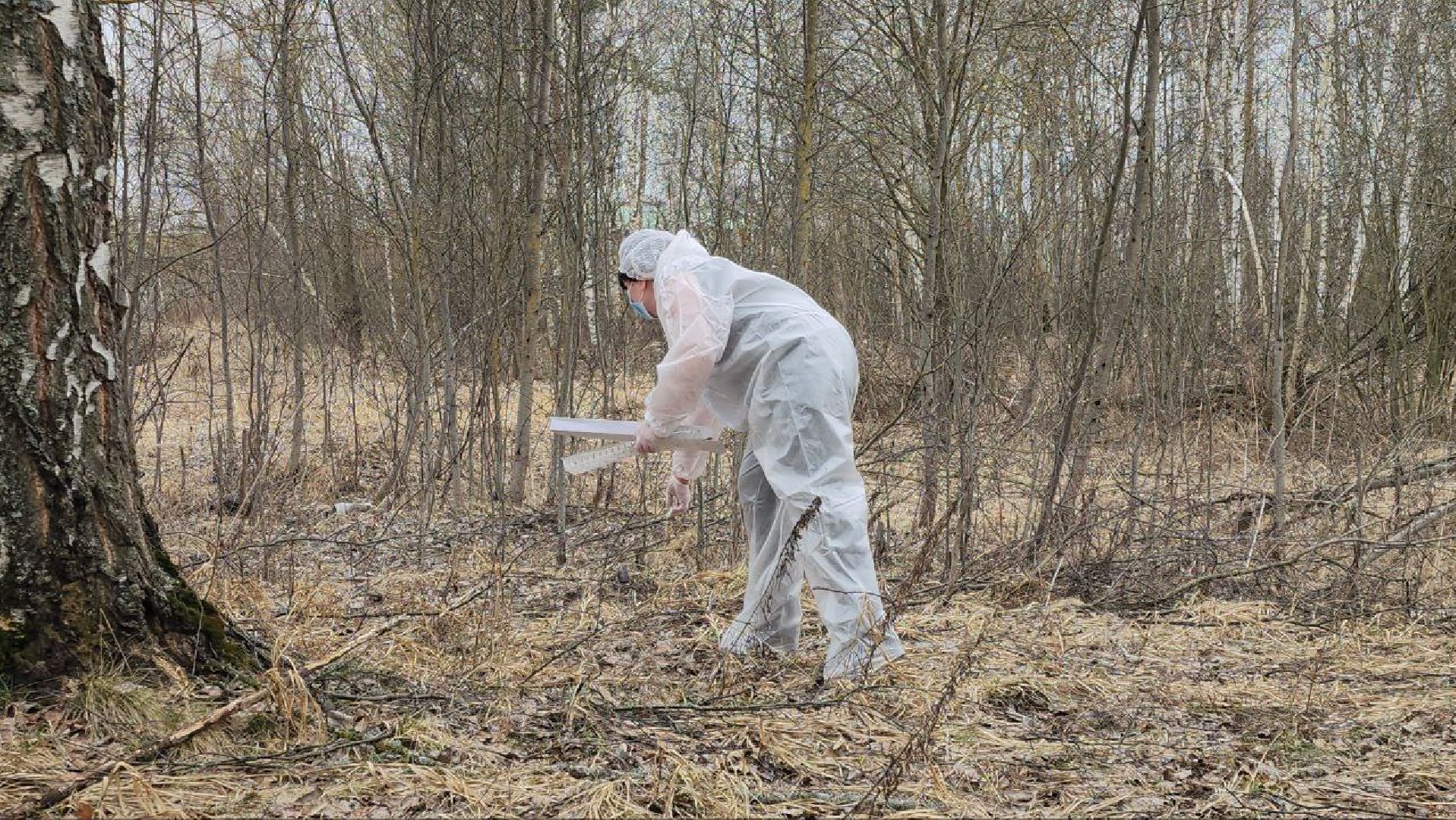 луховицы, вакцинация от бешенства, вакцинация диких животных,