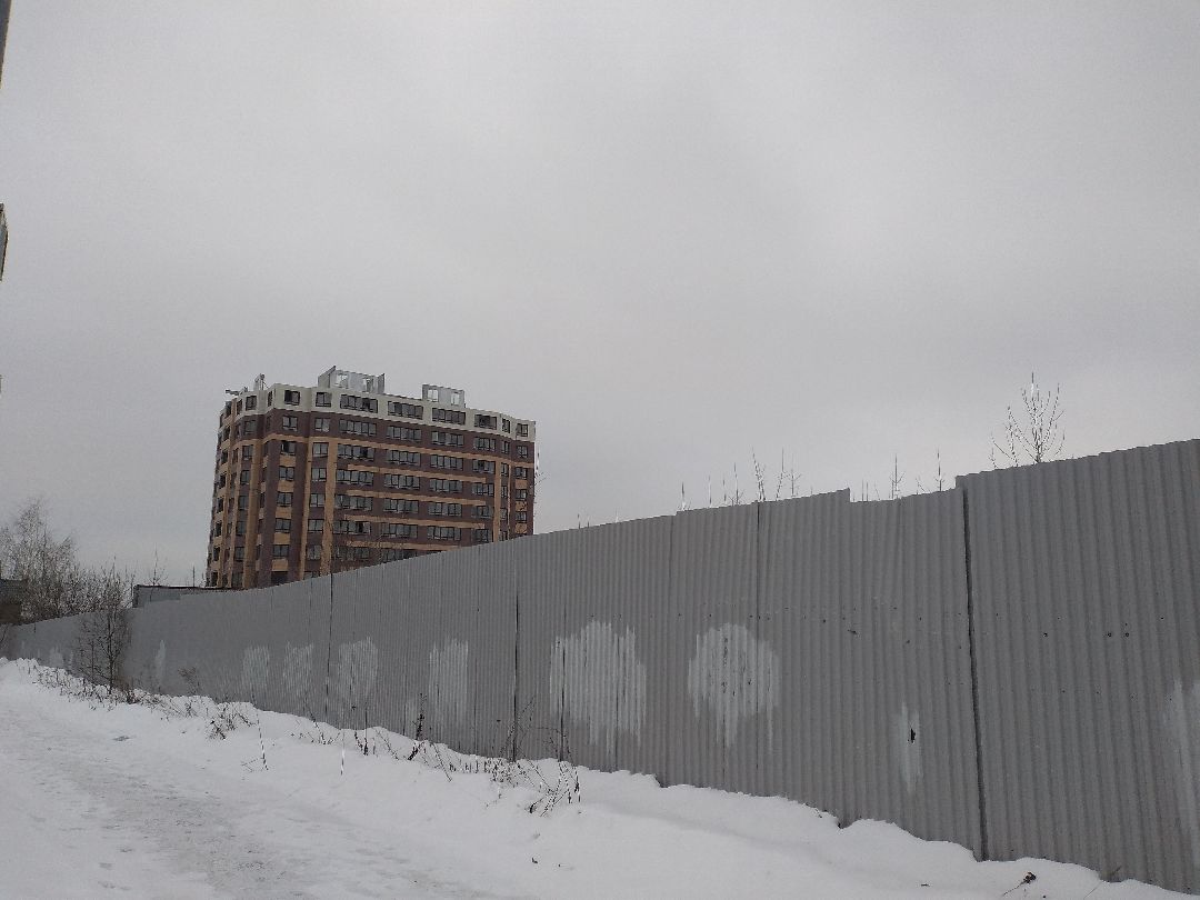 Лосино-Петровский, общество