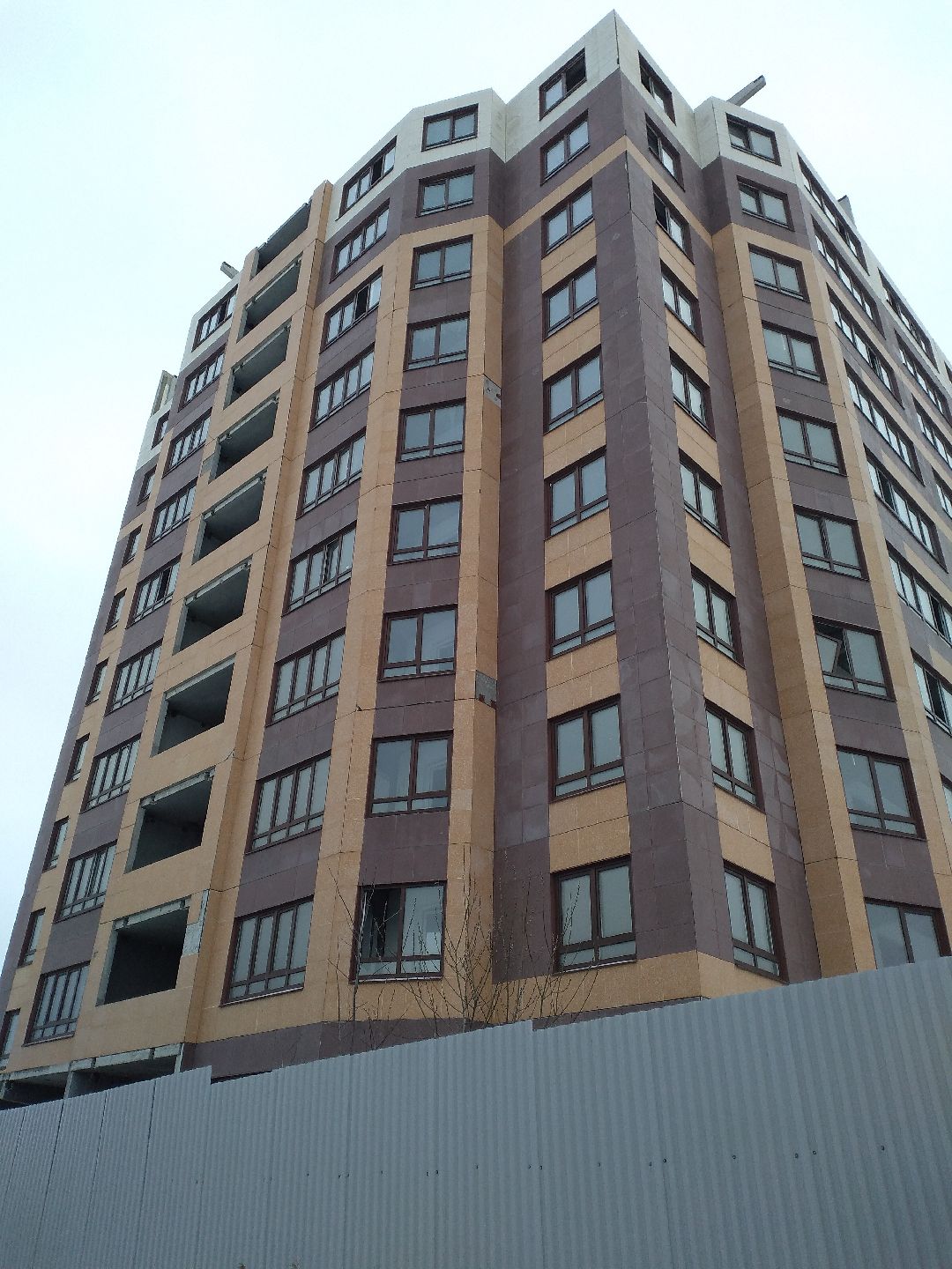 Лосино-Петровский, общество