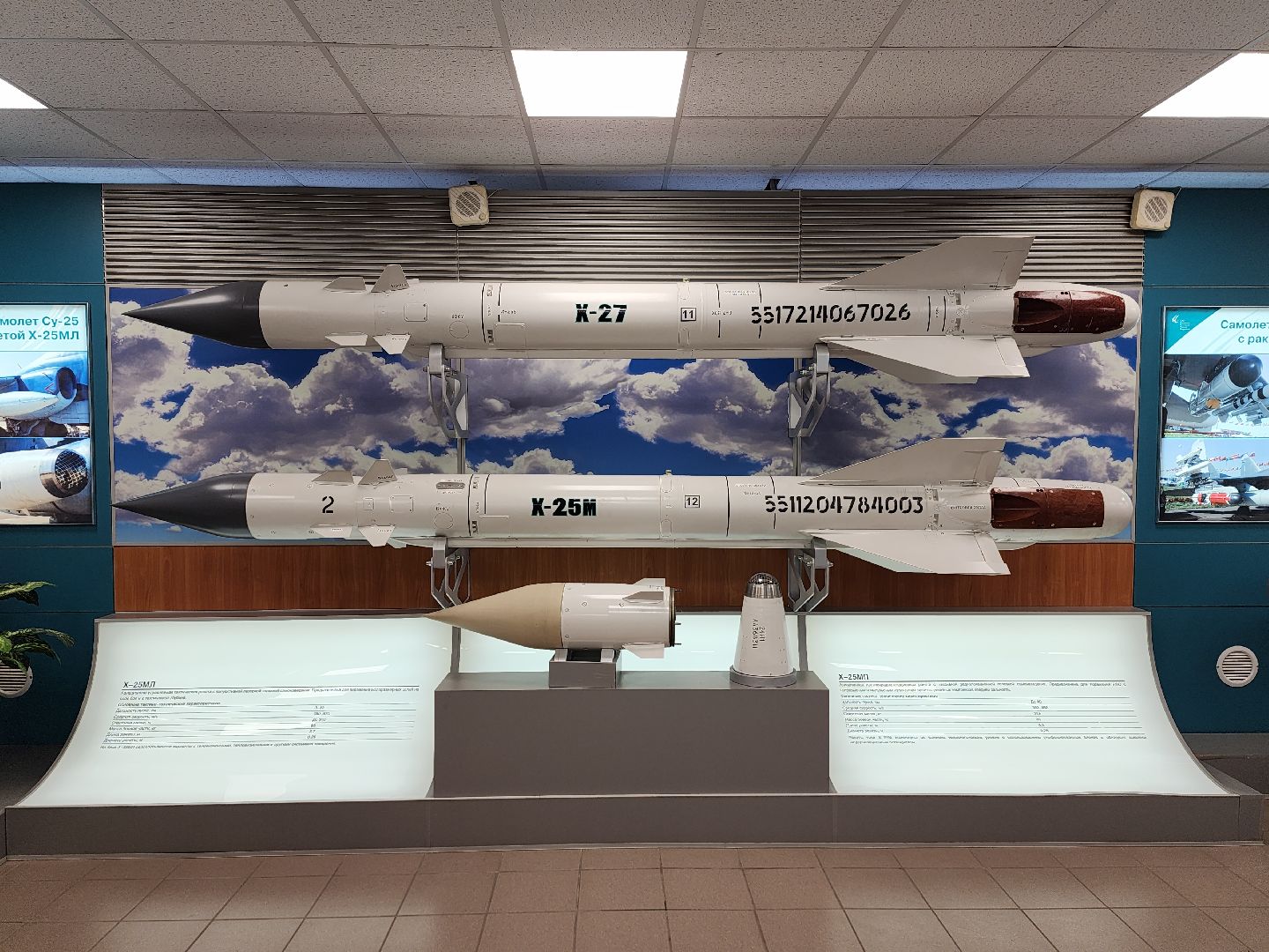 королёв, вооруженные силы рф, студенты колледжей,