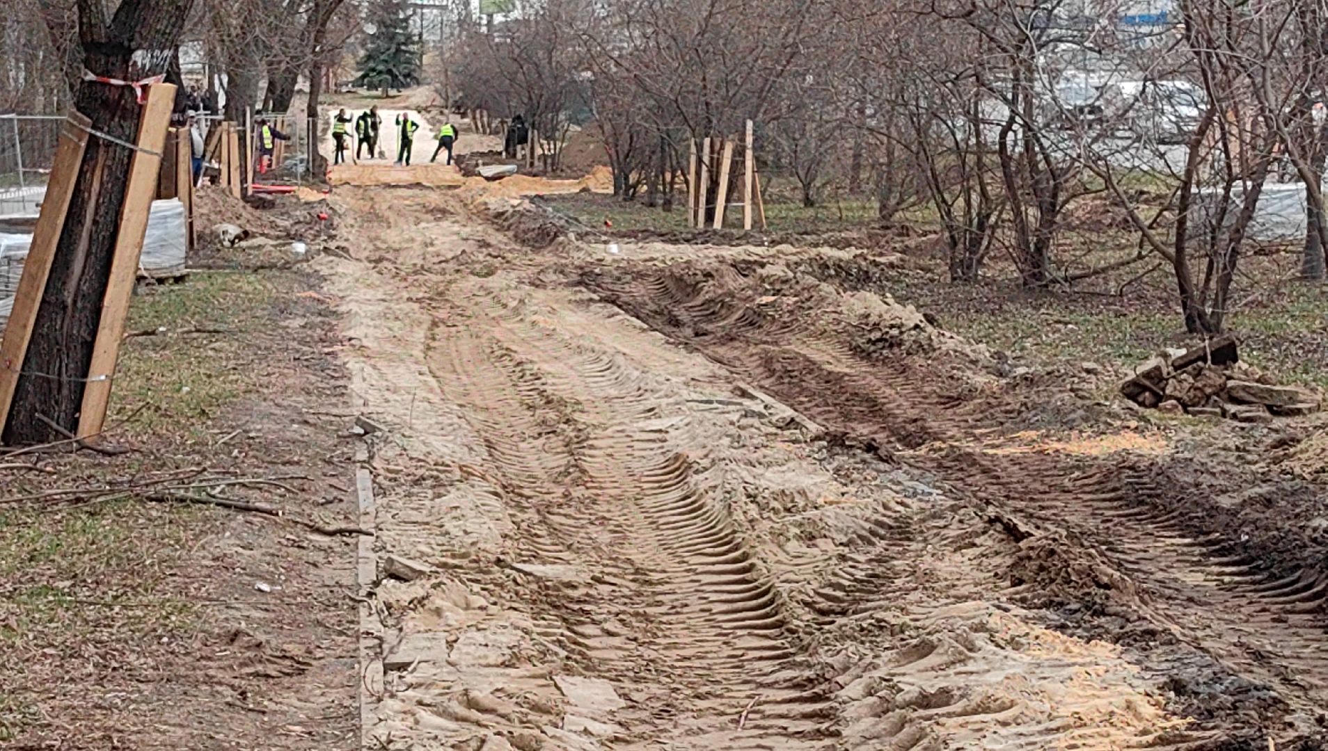 благоустройство, проспект, велодорожка, освещение,