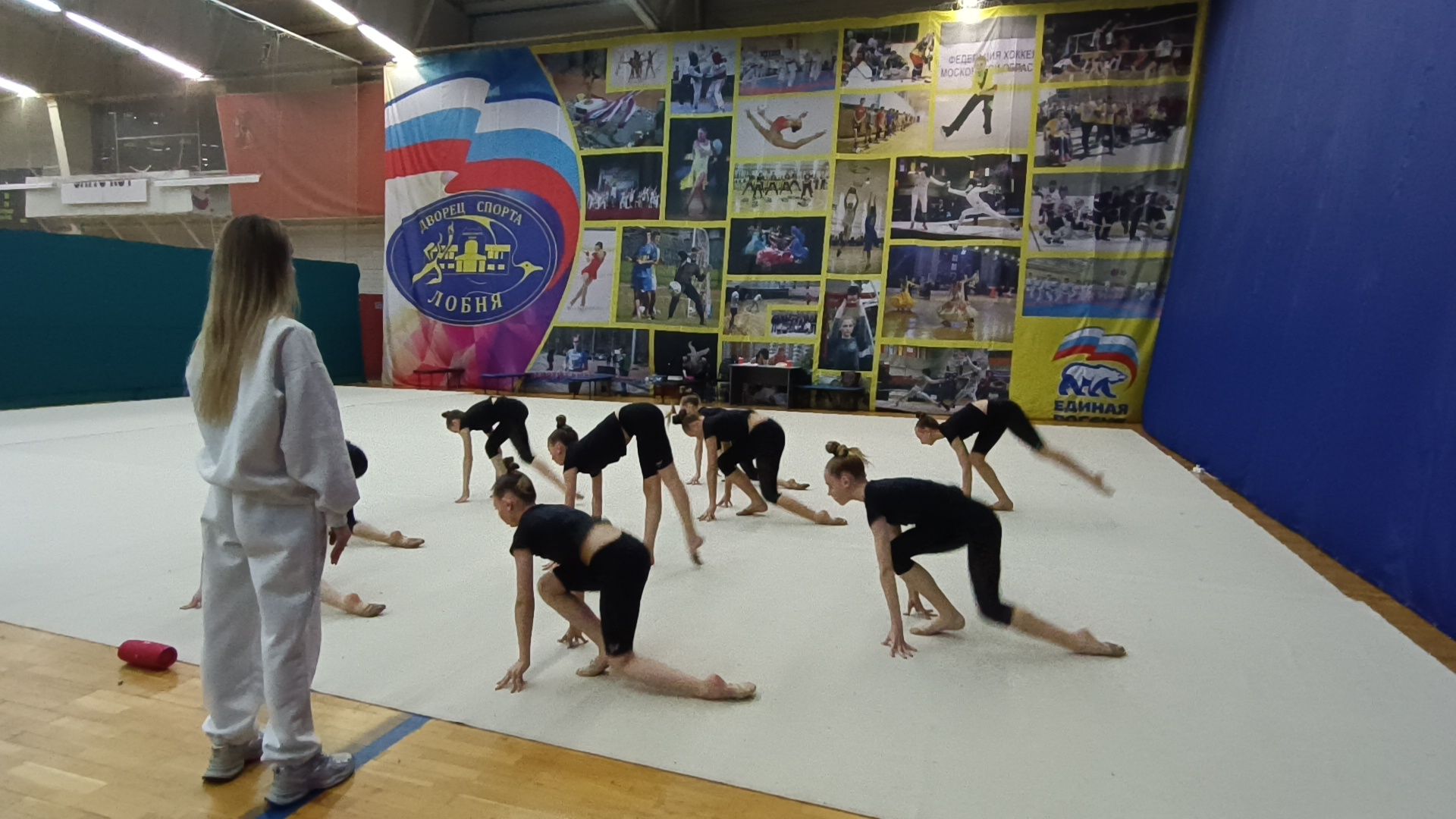 спорт, эстетическая гимнастика, лобня,