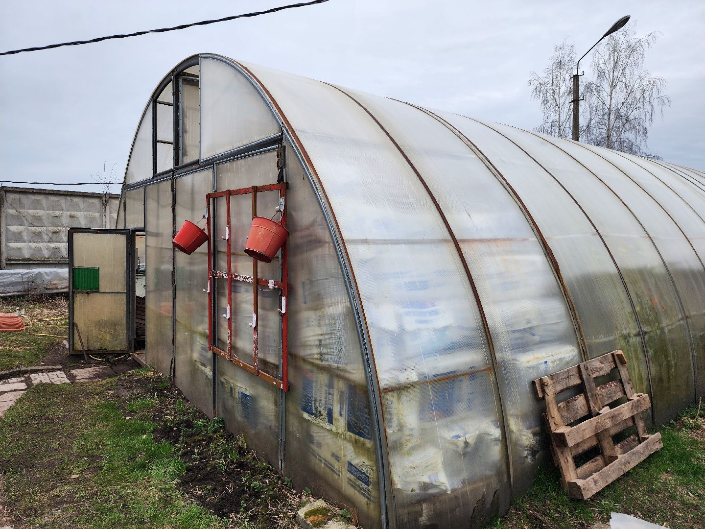 серпухов, комбинат благоустройства, весеннее озеленение, рассада для городских клумб, городские цветы,