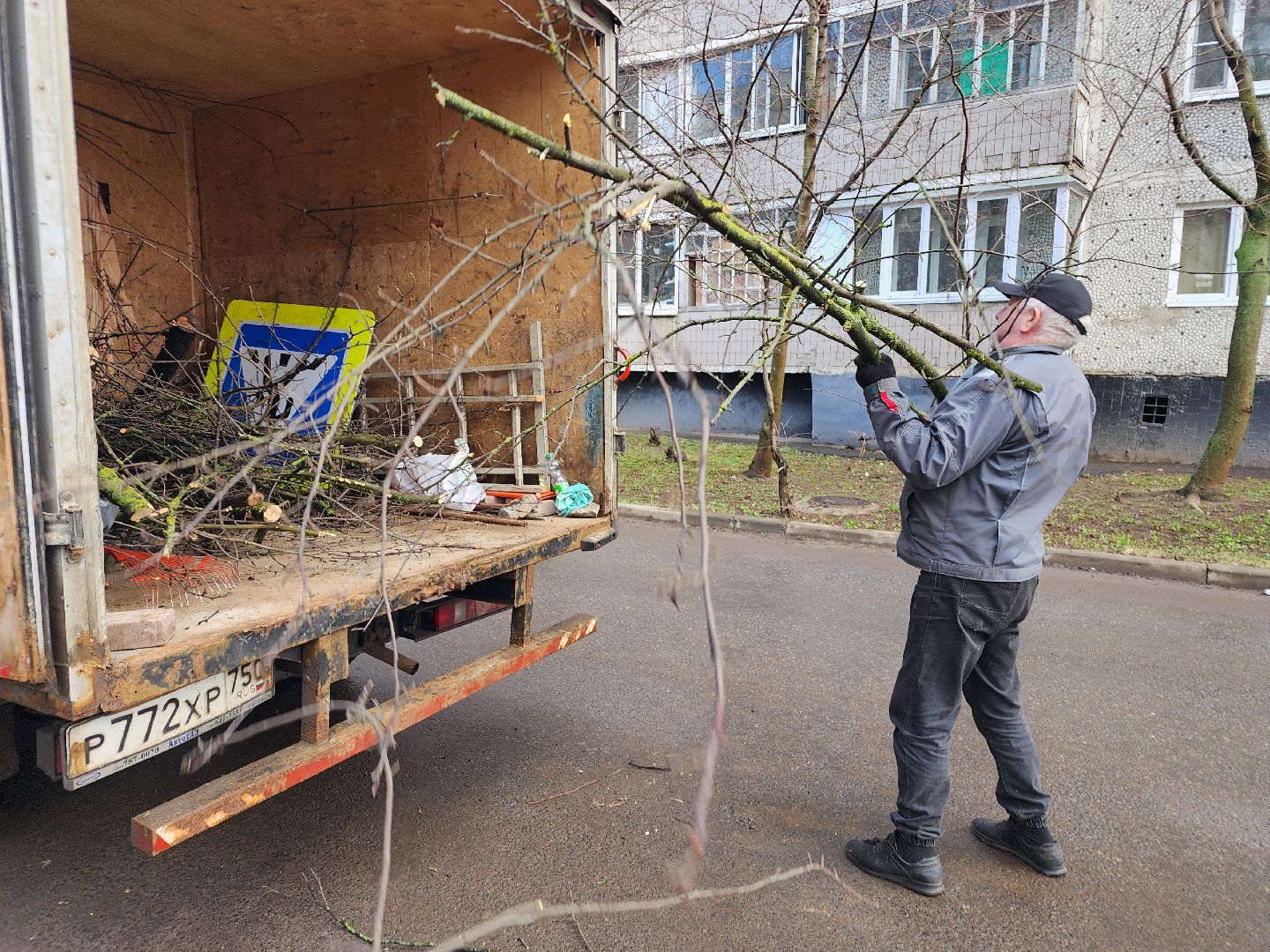 фрязино, уборка веток, уборка газонов, сухостойное дерево,