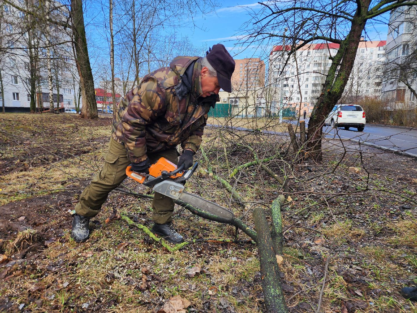 фрязино, уборка веток, уборка газонов, сухостойное дерево,