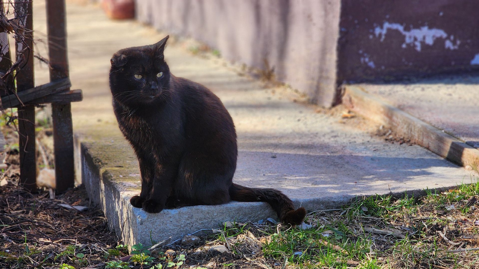 жкх, волоколамск, ремонт крыши,