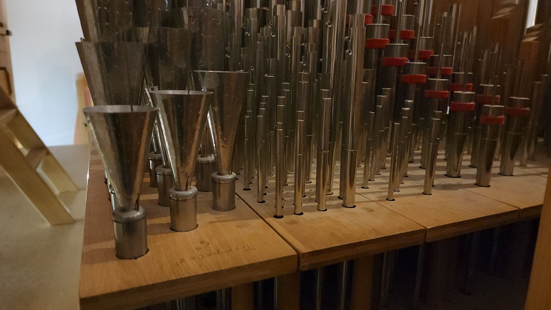 красногорск, орган, алые паруса,