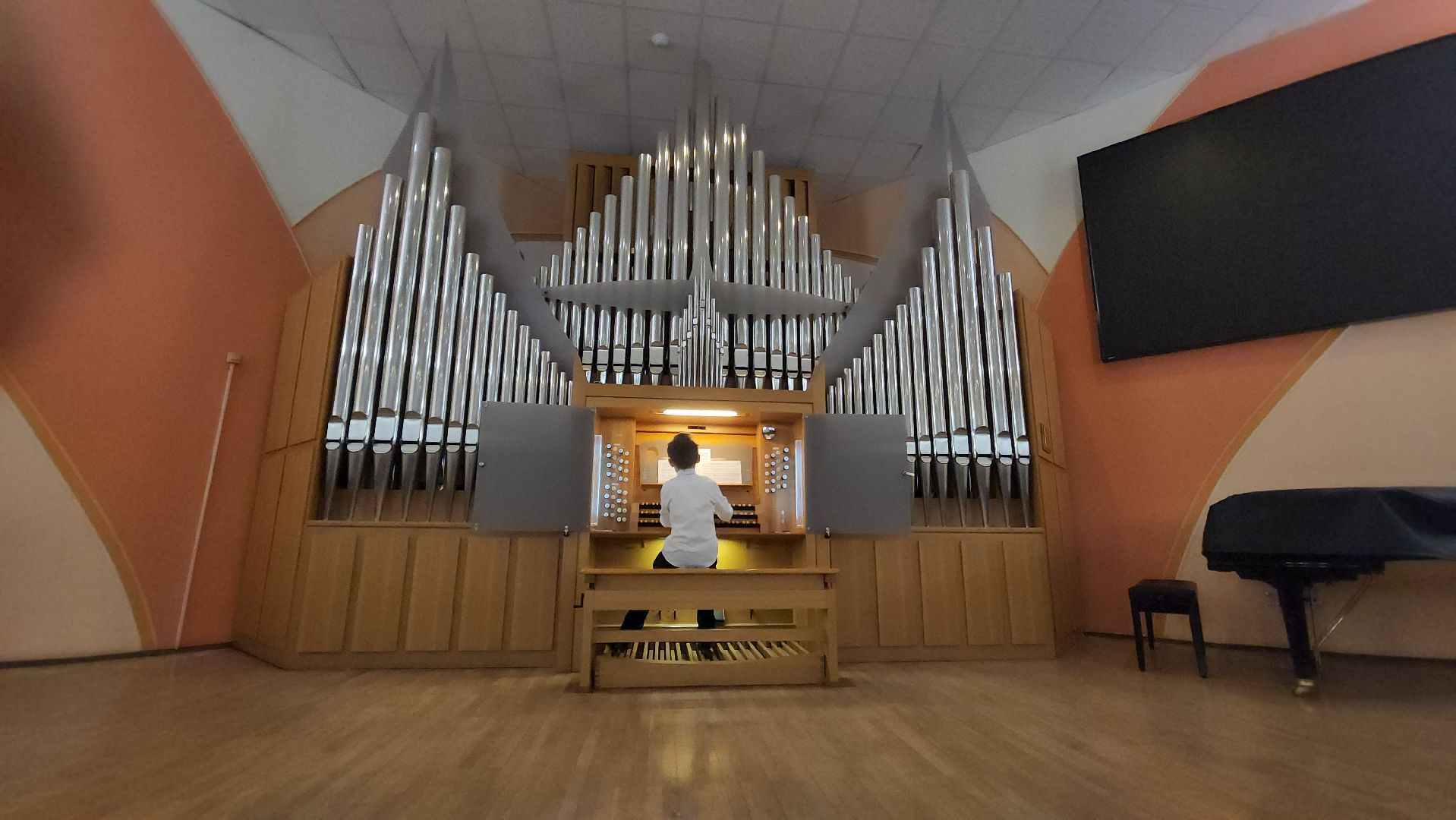 красногорск, орган, алые паруса,