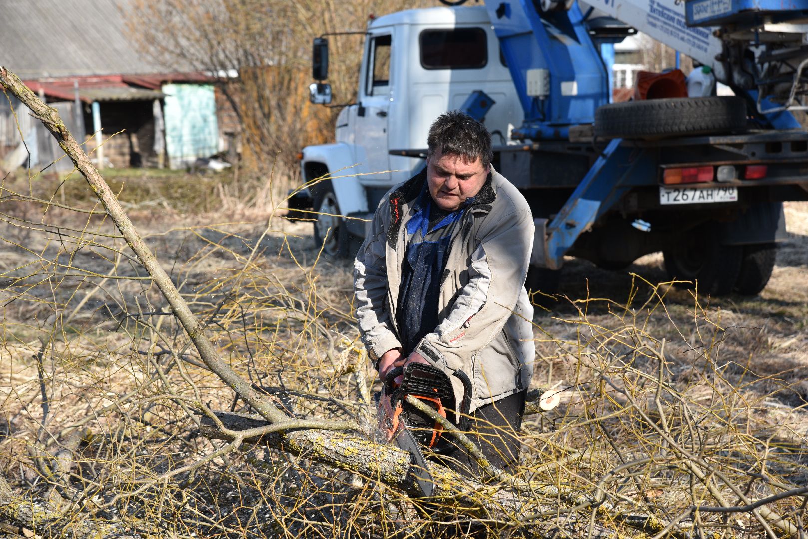 лотошино, экология, аисты, спил деревьев,