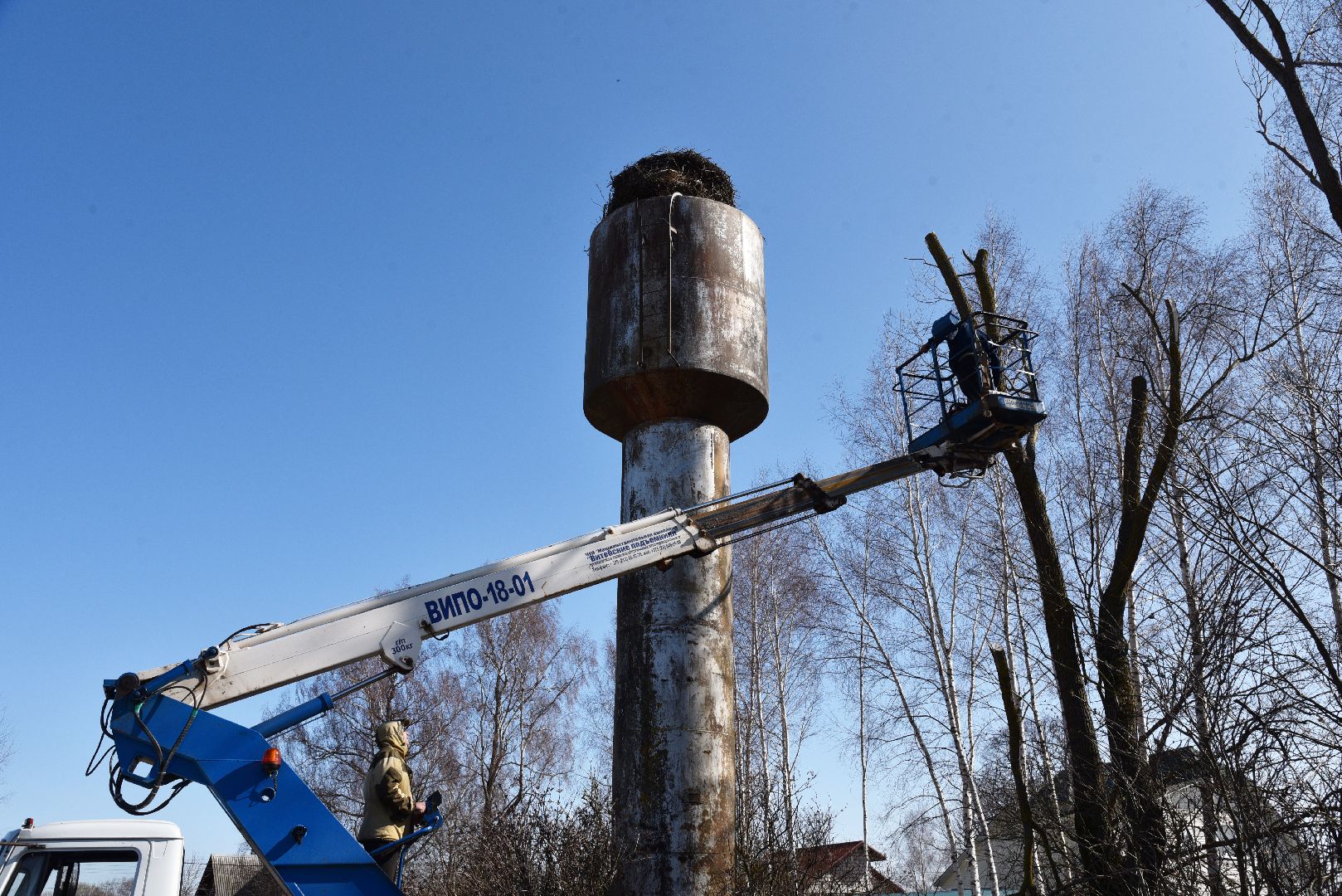 лотошино, экология, аисты, спил деревьев,