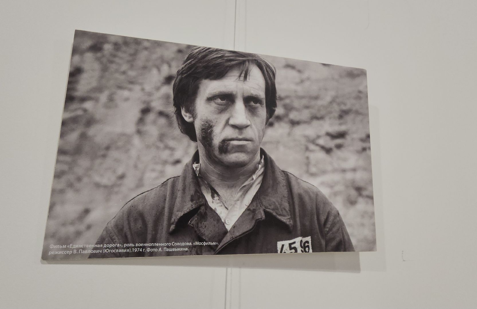 Химки, Культура, Выставки,Высоцкий,