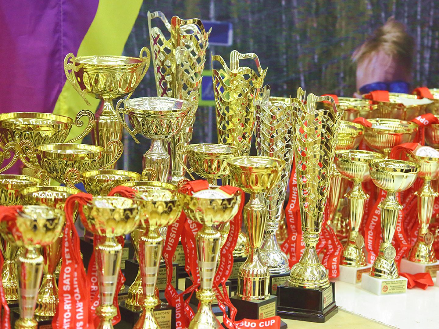 Лобня, спорт, каратэ