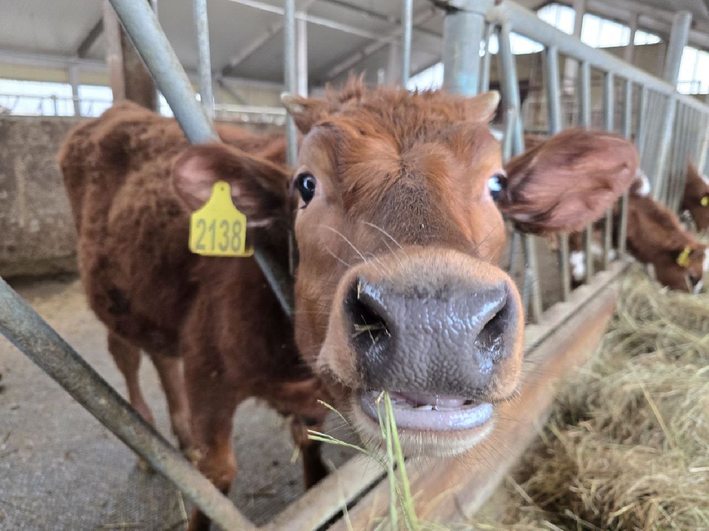 можайск, можайский муниципальный округ, туризм, экоранчо, развитие инфраструктуры, новые дома, туристы,баня, бассейн,