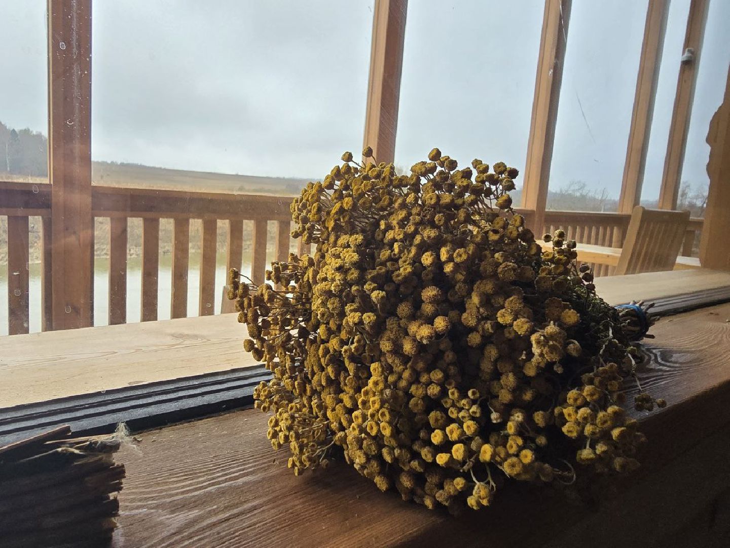 можайск, можайский муниципальный округ, туризм, экоранчо, развитие инфраструктуры, новые дома, туристы,баня, бассейн,