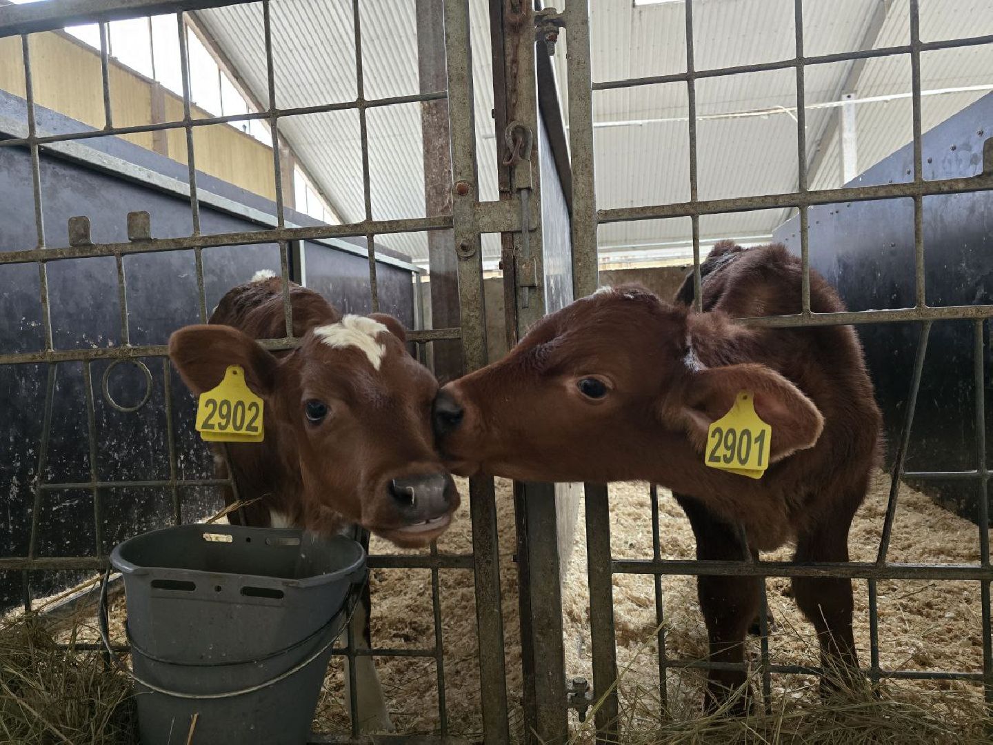 можайск, можайский муниципальный округ, туризм, экоранчо, развитие инфраструктуры, новые дома, туристы,баня, бассейн,