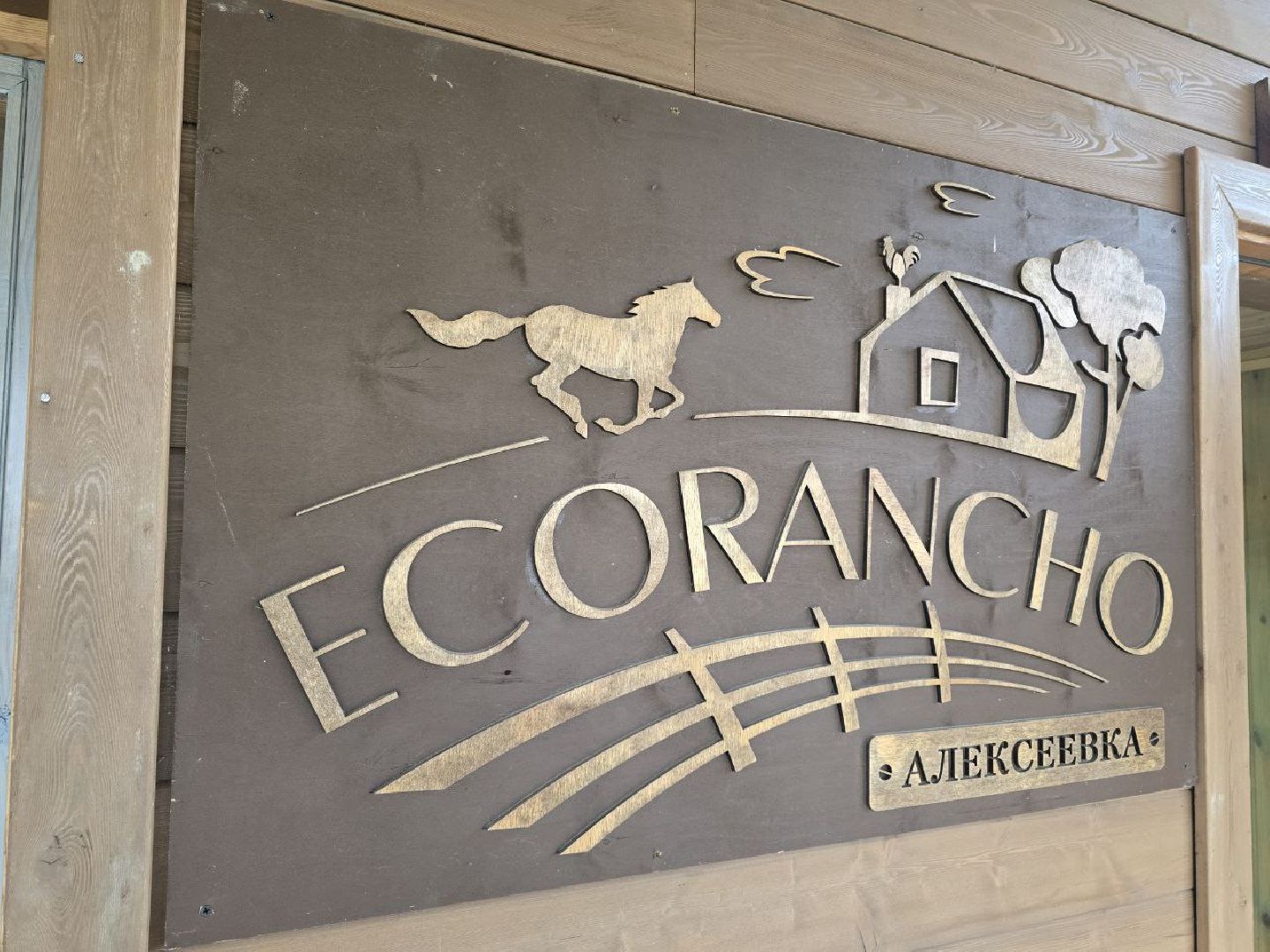 можайск, можайский муниципальный округ, туризм, экоранчо, развитие инфраструктуры, новые дома, туристы,баня, бассейн,