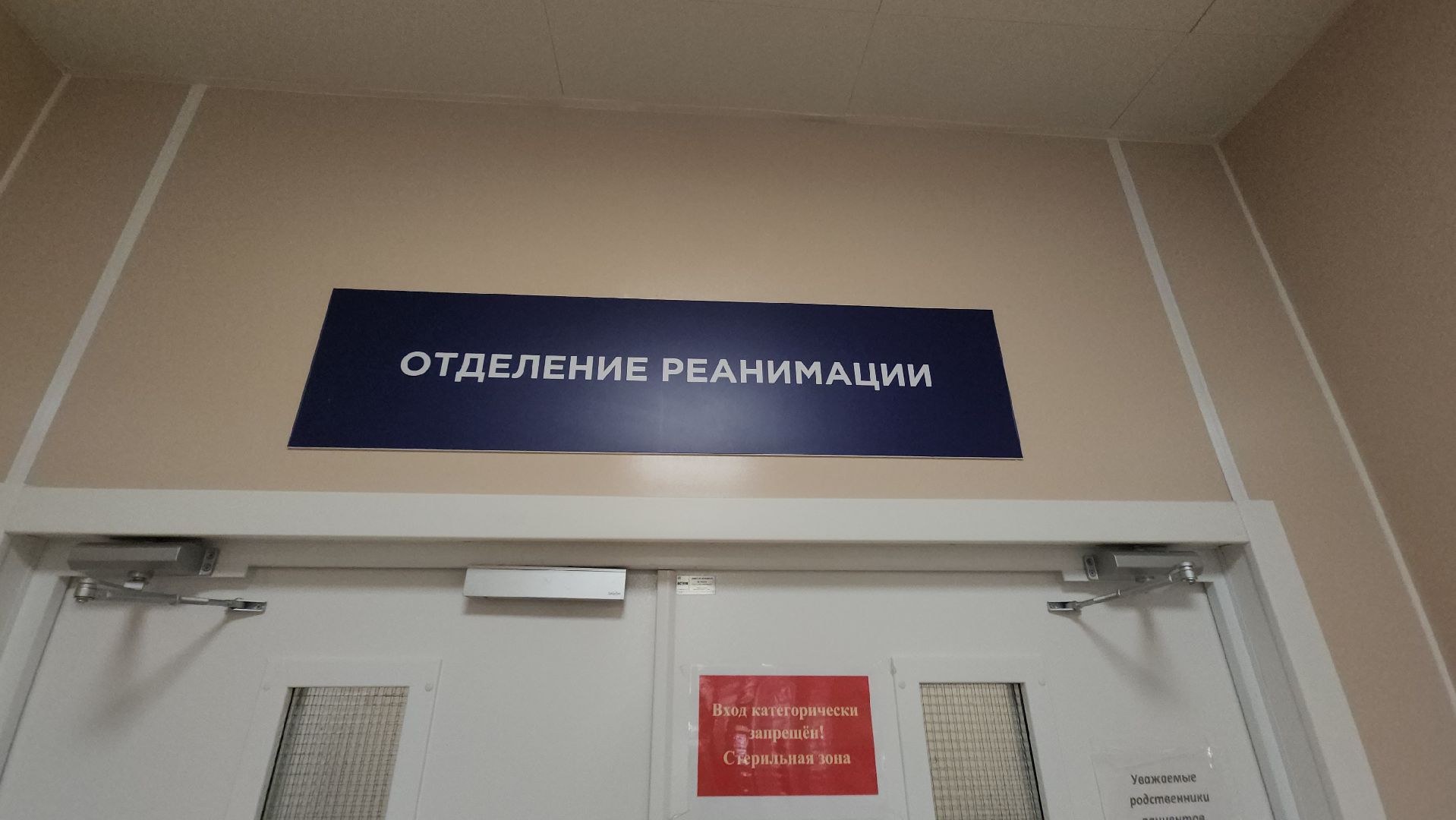 Истра, Медицина, Взрыв в школе, ЧП, реанимационное отделение,