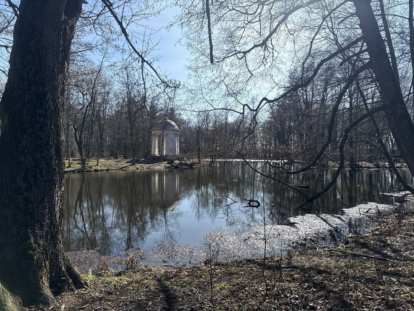 раменское, усадьба быково, субботник,