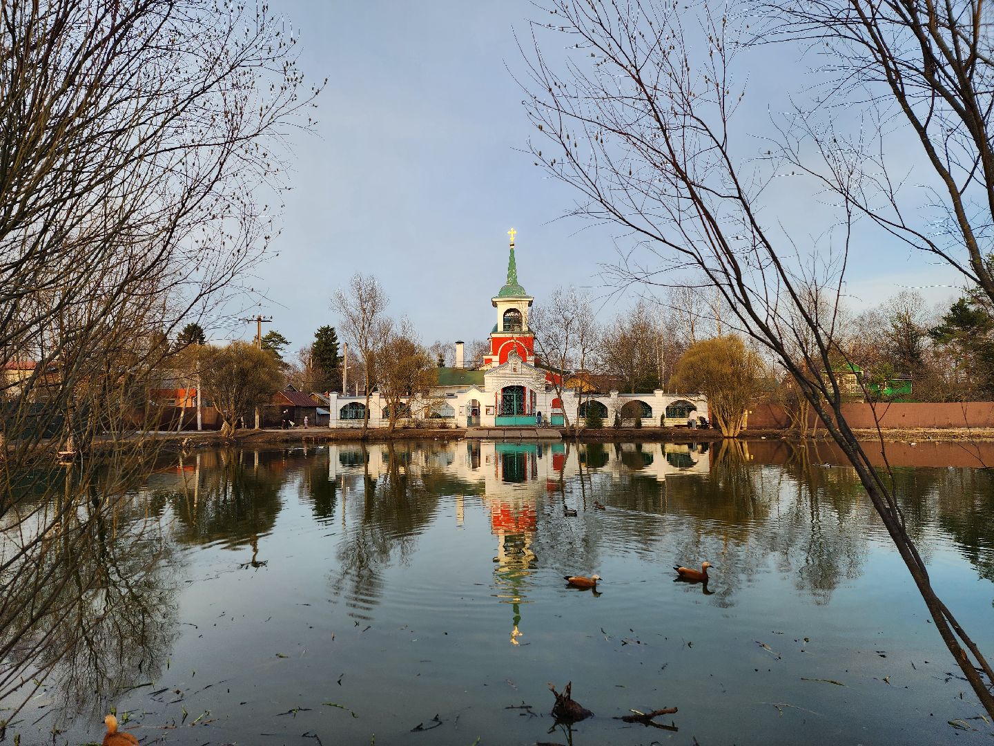 пушкино, благоустройство, утки, экология подмосковья,