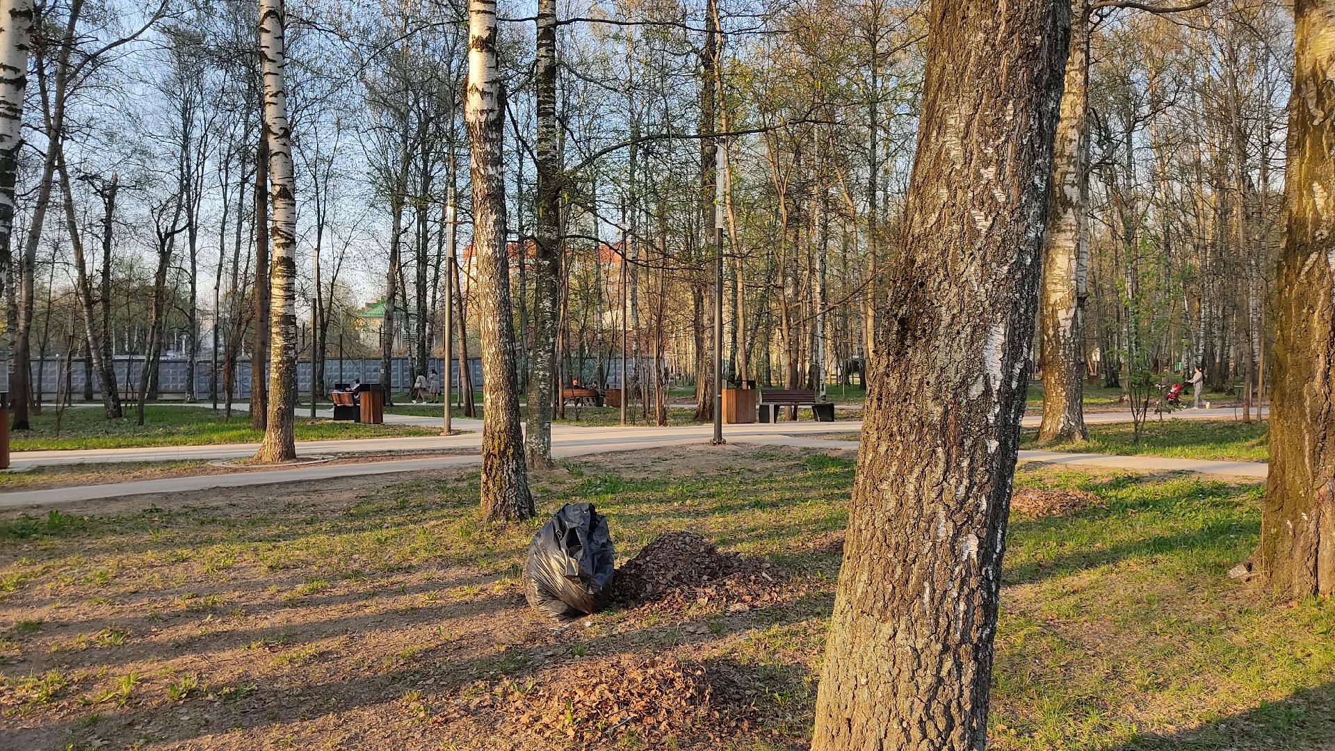 Лобня, благоустройство, парк