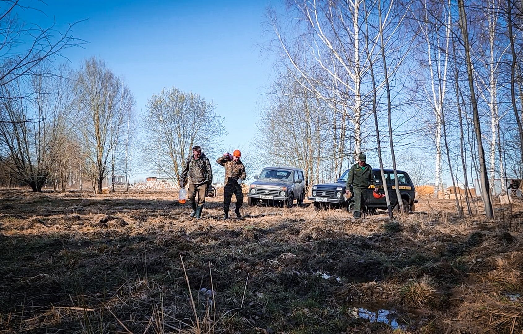 Бронницы, Лесная охрана, Уборка неликвидной древесины, Бронницкое лесничество,