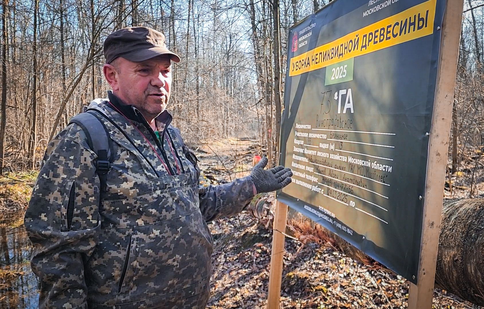 Бронницы, Лесная охрана, Уборка неликвидной древесины, Бронницкое лесничество,