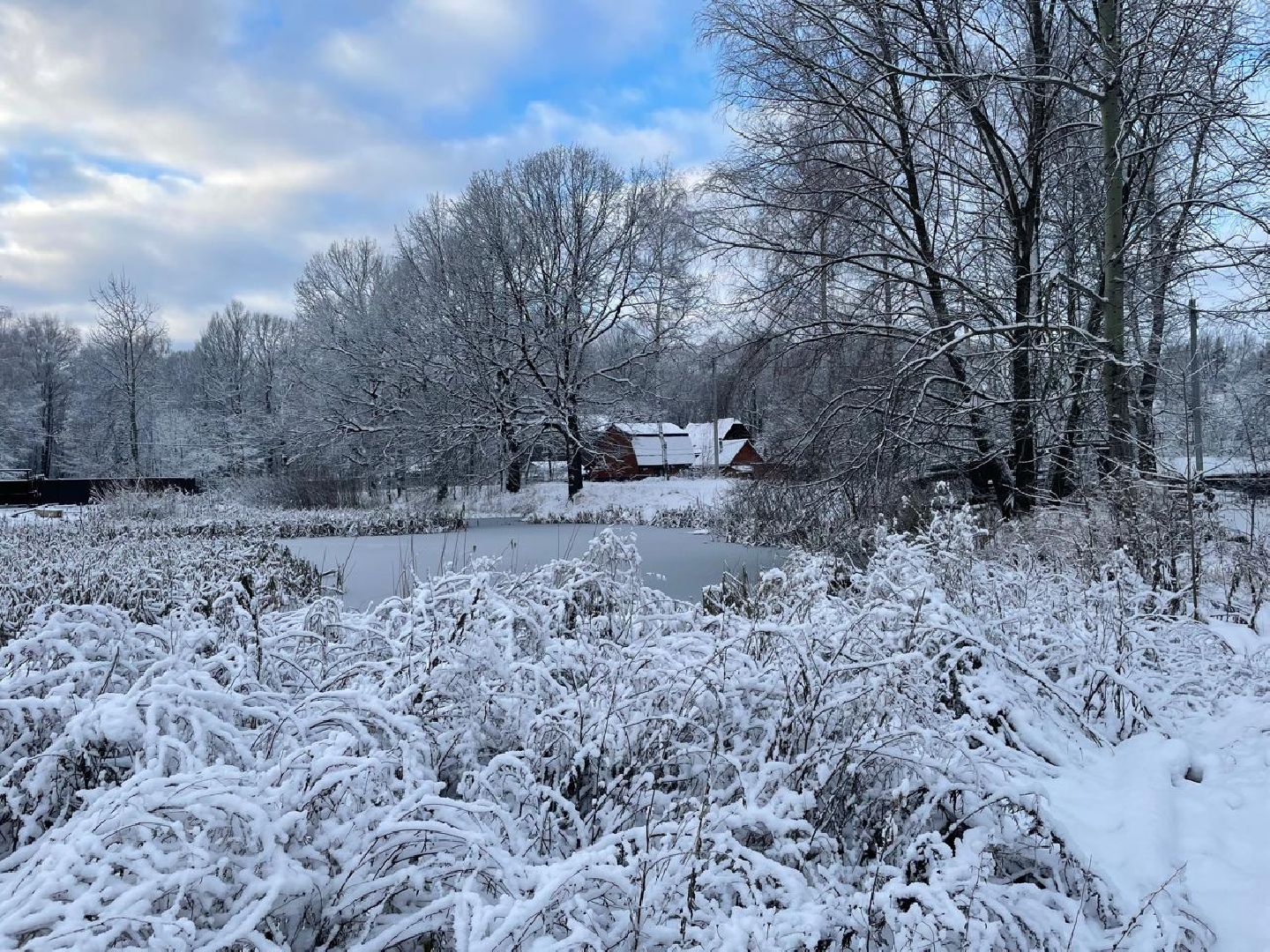 выездная администрация, мытищи,